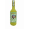 LIMONCELLO ARTIGIANALE ANTICO CILENTO 32° CL. 70