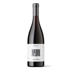 BOTTI  IMPERVIO AGLIANICO DOC CL 75