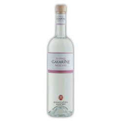 GRAPPA GAIARINE MONOV. CL.70