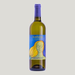 ANTHILIA DONNAFUGATA 2022 CL 70