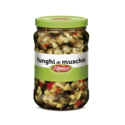 FUNGHI DI MUSCHIO IN OLIO GR.1700