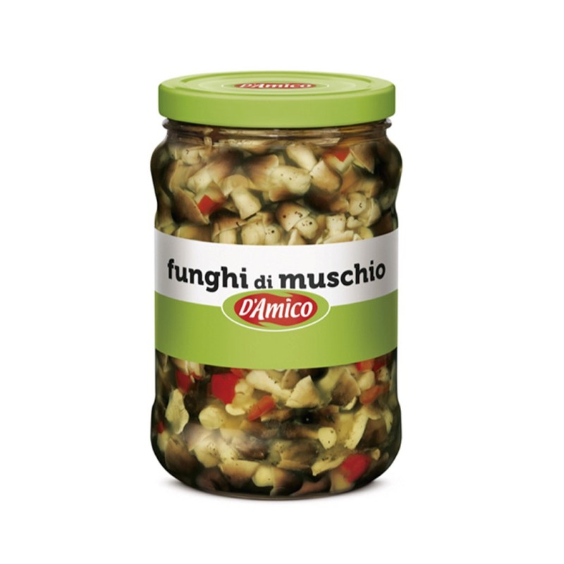FUNGHI DI MUSCHIO IN OLIO GR.1700