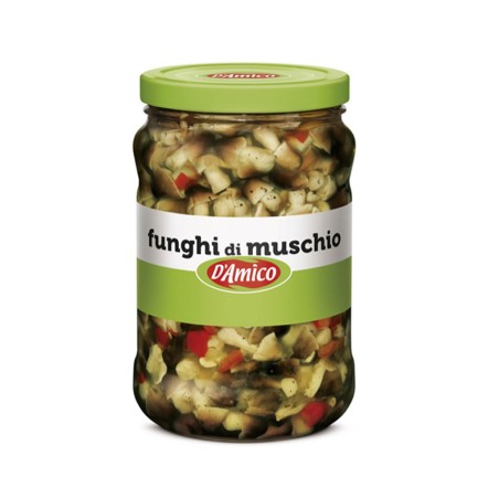 FUNGHI DI MUSCHIO IN OLIO GR.1700