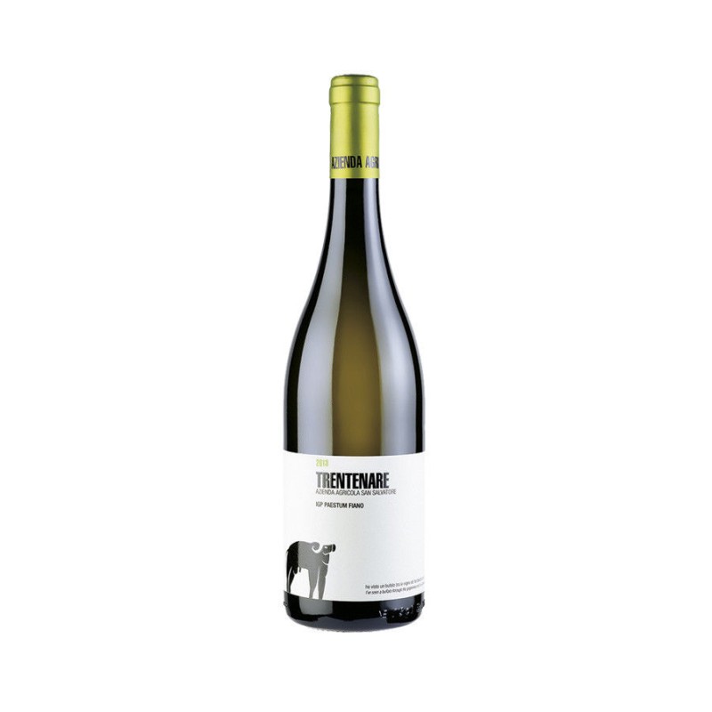 TRENTENARE FIANO 2022 S.SALVATORE CL 75 TRENTENARE FIANO 2022 S.SALVATORE CL 75