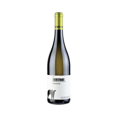 TRENTENARE FIANO 2022 S.SALVATORE CL 75