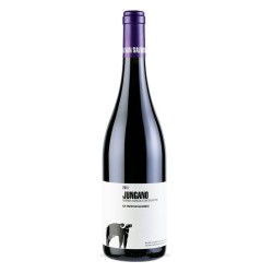 JUNGANO IGP AGLIANICO 2019 S.SALVATORE CL 75
