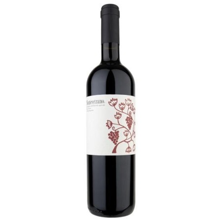 VINO MONTEVETRANO ROSSO IGP 2020 CL 75