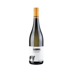 FALANGHINA IGP 2022 S.SALVATORE CL 75