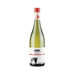 CECERALE IGP FIANO 2022 S.SALVATORE CL 75