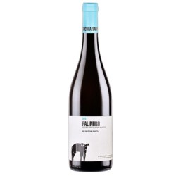 PALINURO IGP PAESTUM 2022 S.SALVATORE CL 75