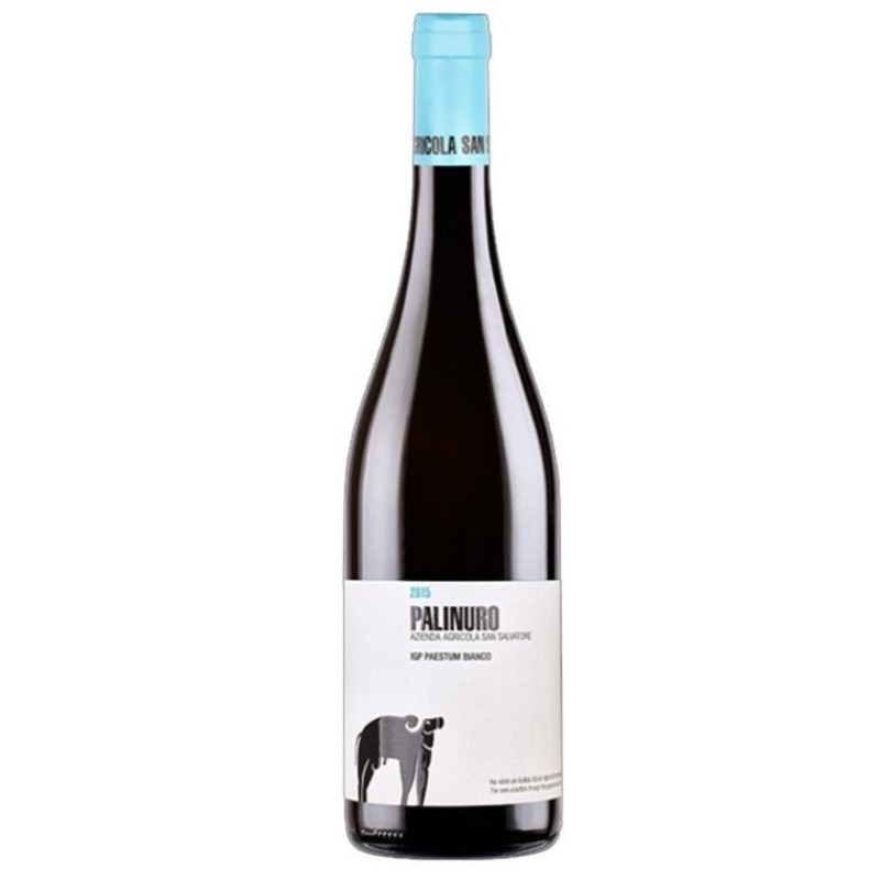 PALINURO IGP PAESTUM 2022 S.SALVATORE CL 75