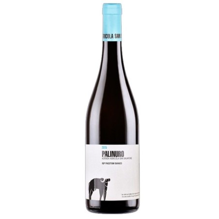 PALINURO IGP PAESTUM 2022 S.SALVATORE CL 75