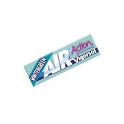 VIGORSOL AIR ACTION WINTERGREEN X 40 PZ