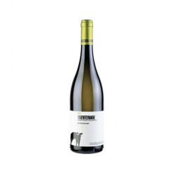TRENTENARE FIANO 2021 S.SALVATORE CL 375