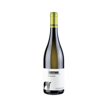 TRENTENARE FIANO 2021 S.SALVATORE CL 375