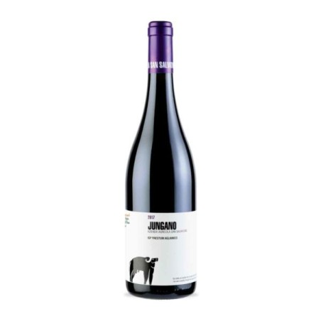 JUNGANO IGP AGLIANICO 2019 S.SALVATORE ml 375