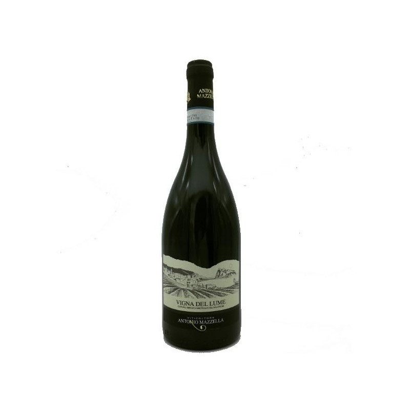 VIGNA DEL LUME MAZZELLA 2022 CL.75 ISCHIA VIGNA DEL LUME MAZZELLA 2022 CL.75 ISCHIA