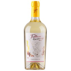 TELLUS CHARDONANY CL 75 FALESCO