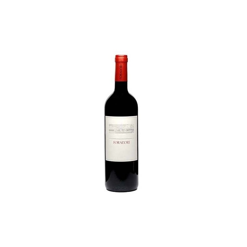 FORADORI TEROLDEGO 2016 CL 75