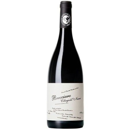 CILIEGIOLO DI NARNI IGT 2020 CL 75 BUSSOLETTI