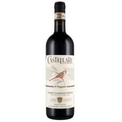 CHIANTI RISERVA DOCG 2019 CL 75 DOMINI CASTELLARE