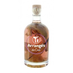 TI ARRANGES DE CED RUM CAR. E PASSIONE 32° CL 70