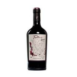 TELLUS SYRAH IGP  LT 1,5  FALESCO