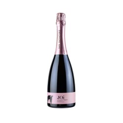 GIOI SPUMANTE ROSE' SAN SALVATORE LT 1,5 LEGNO