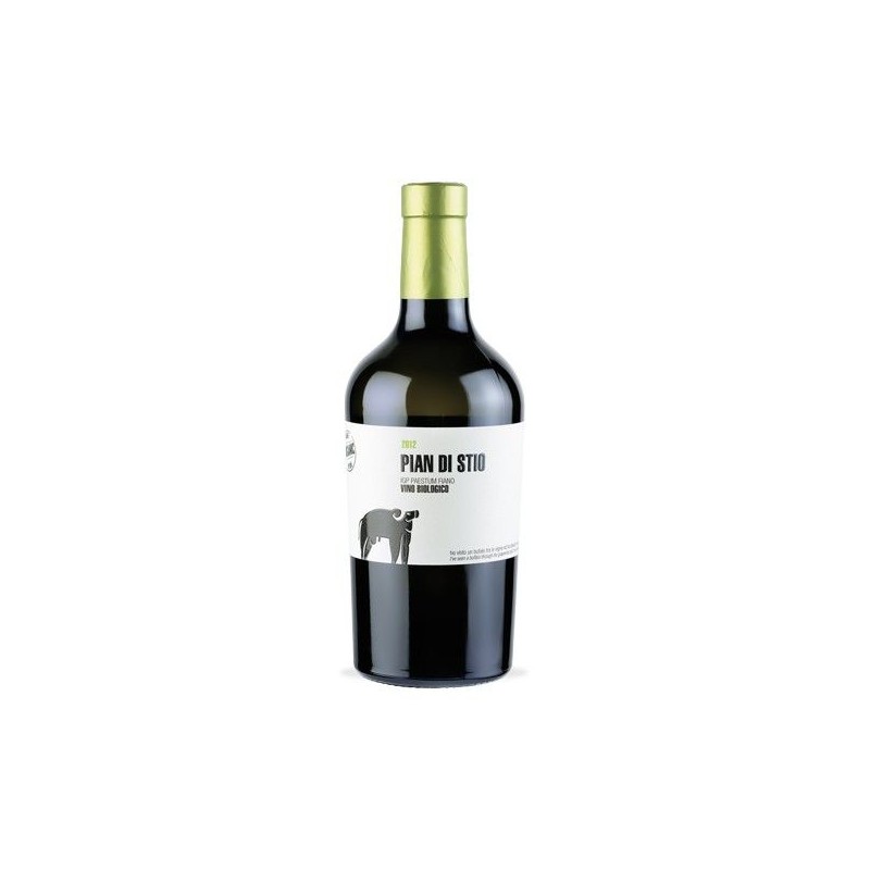 PIAN DI STIO FIANO BIO 2020 S.SALVATORE LT 1,5