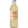 FRANKLIN GINGER BEER CL 20