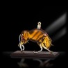 BONOLLO OROSCOPO TORO CL 35 AMARONE OF'