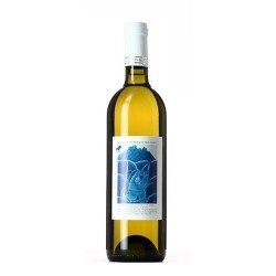 BLANC DE MORGEX 2021 CL 75 CAVE MONT BLANC