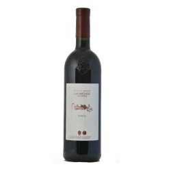 TURCA 2017 CL 75 FONDAZIONE MACH