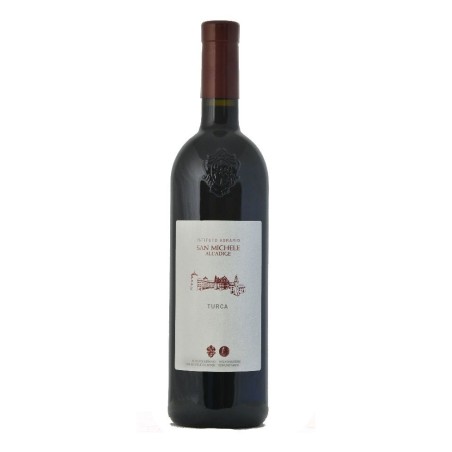 TURCA 2017 CL 75 FONDAZIONE MACH