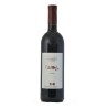 TURCA 2017 CL 75 FONDAZIONE MACH