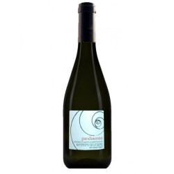 CAMPI FLEGREI PIEDIROSSO DOC '21 CL 75 MARTUSCIELL
