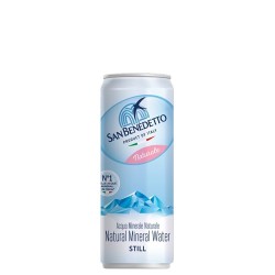 ACQUA SAN BENEDETTO NAT. CL.33 X 24 LATTINA
