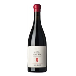 FORADORI  MOREI TEROLDEGO 2016 CL 75