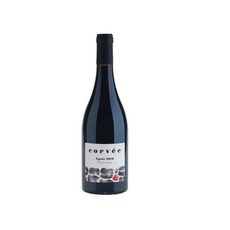 PINOT NERO AGOLE DOC 2017 LT 1,5 CORVE'E