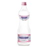 ACQUA SORGESANA CL 100 X 12 T.V. PREMIUM