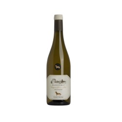 BLANCFUMAT SAUVIGNON '19 DOC  CL 75 COLLAVINI