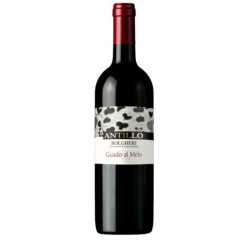 GUADO AL MELO ANTILLO BOLGHERI DOC CL 75