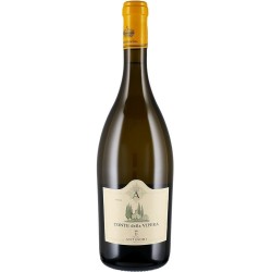 CONTE DELLA VIPERA IGT 2022 CL 75 ANTINORI