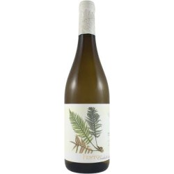 FENTO WINES BLANCO  '19  CL 75 RIAS BAIXAS