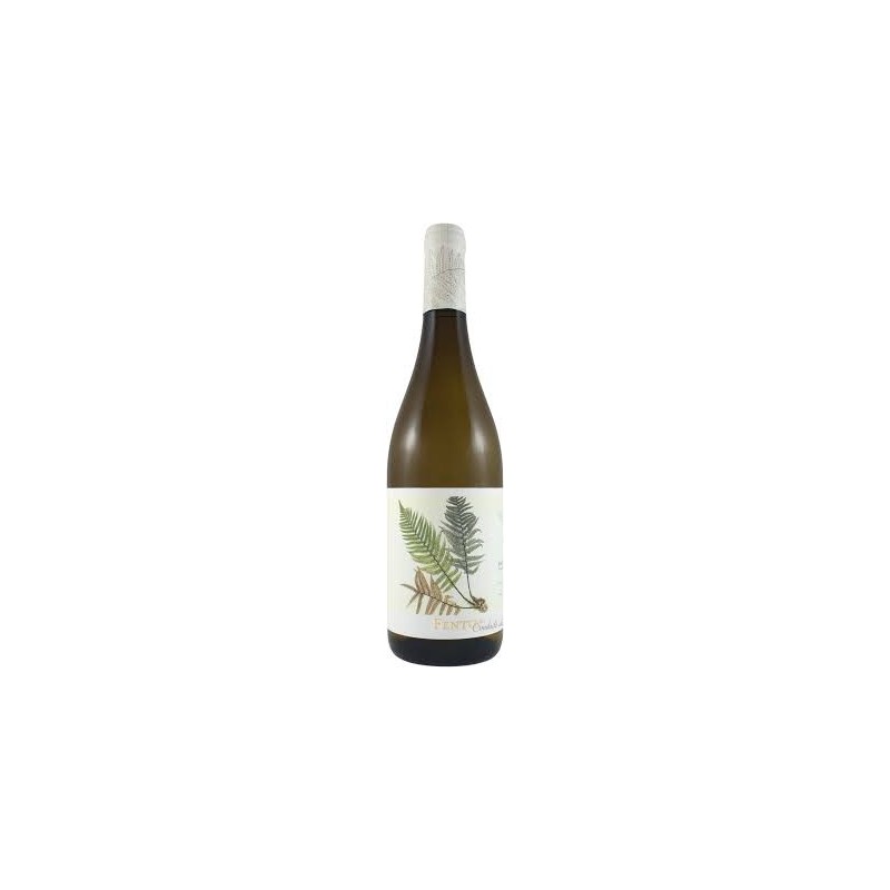 FENTO WINES BLANCO '19 CL 75 RIAS BAIXAS FENTO WINES BLANCO '19 CL 75 RIAS BAIXAS
