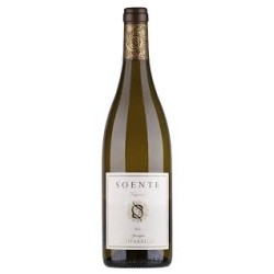 SOENTE VIOGNIER  LAZIO IGP CL 75 FALESCO