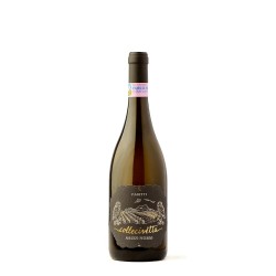 COLLECIVETTA PECORINO SUPERIORE DOP  CL 75 PASETTI
