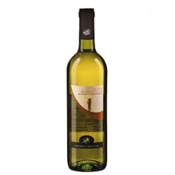 ISCHIA BIANCOLELLA DOC 2019 CL 75 CENATIEMPO