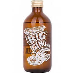 BIG GINO DRY GIN 40° LT 1 ROBY MARTON