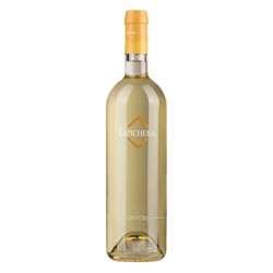 LINTORI  VERMENTINO DOC SARDEGNA  CL 75 CAPICHERA